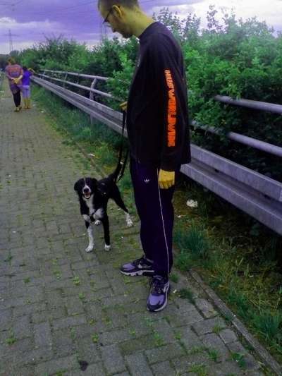 Das erste Foto-Beitrag-Bild