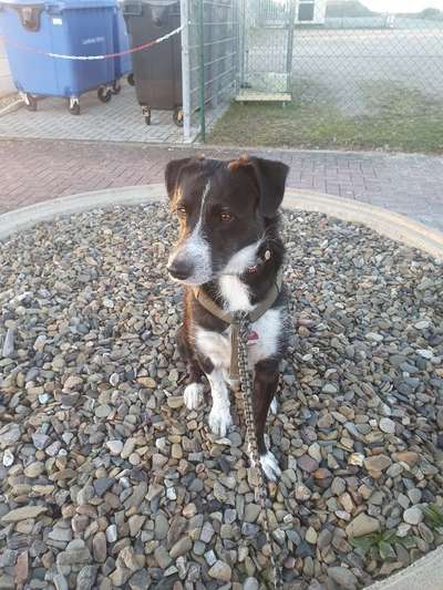 Doppelgänger gesucht !-Beitrag-Bild