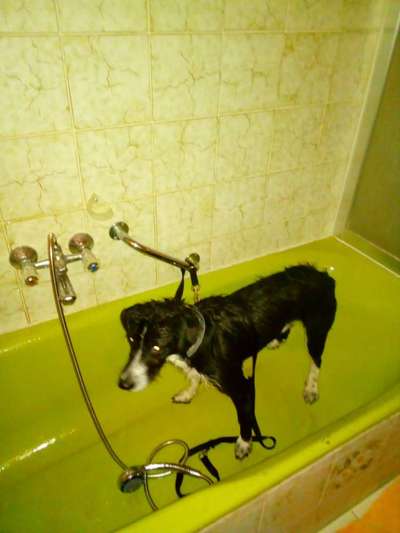 Fotochallenge 128-Beitrag-Bild