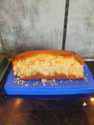 Was haben eure Hunde schon gefressen oder zerstört ?-Beitrag-Bild