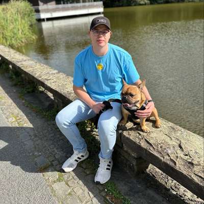 Hundetreffen-Suche Spiel-Buddy für Eddy-Bild