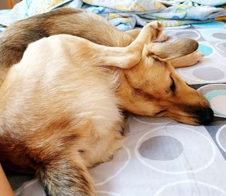 FOTO-Challenge  NR. 91: Die pure Entspannung-Beitrag-Bild