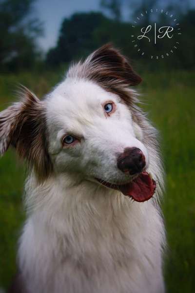 Austausch zur Fotografie-Beitrag-Bild