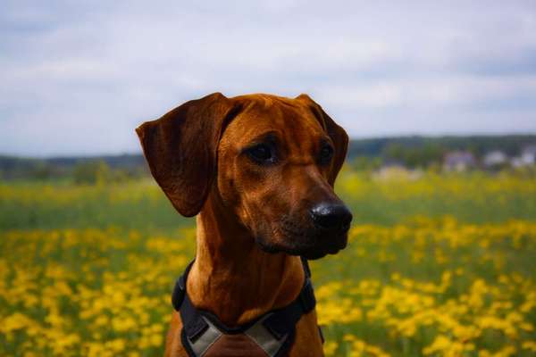 Austausch zur Fotografie-Beitrag-Bild