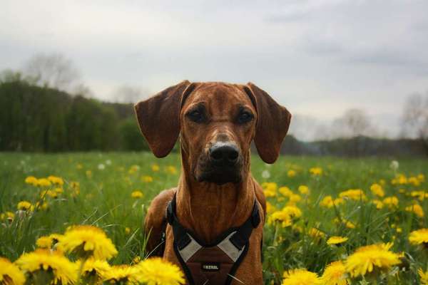 Austausch zur Fotografie-Beitrag-Bild