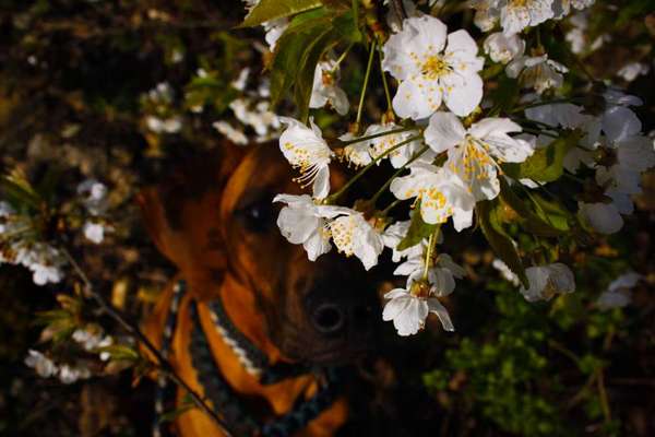 Austausch zur Fotografie-Beitrag-Bild