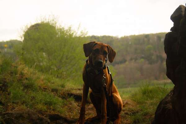 Austausch zur Fotografie-Beitrag-Bild