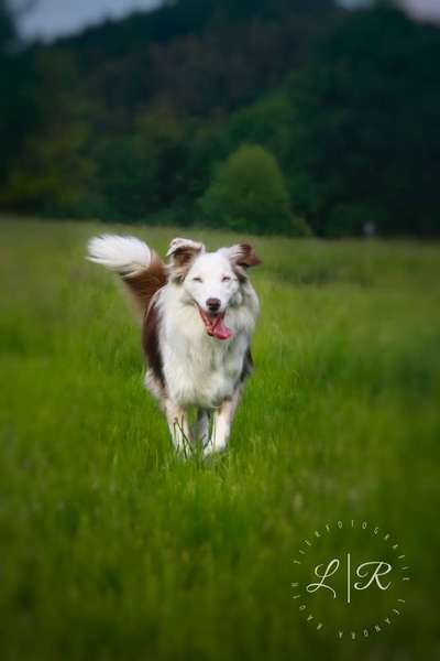 Austausch zur Fotografie-Beitrag-Bild