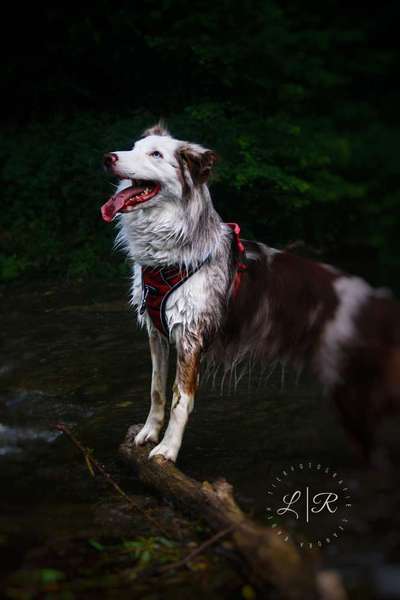 Austausch zur Fotografie-Beitrag-Bild
