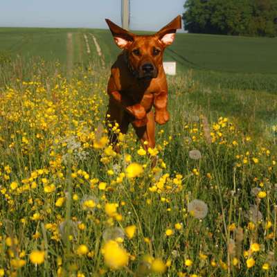 Austausch zur Fotografie-Beitrag-Bild