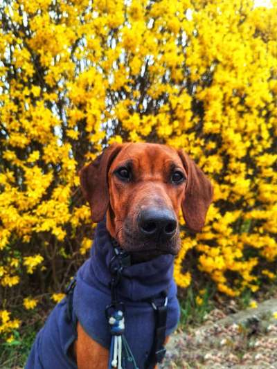 Austausch zur Fotografie-Beitrag-Bild