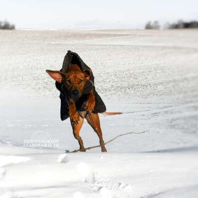 Austausch zur Fotografie-Beitrag-Bild