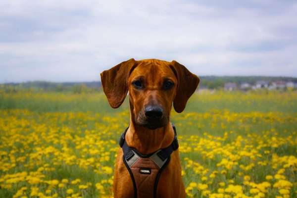 Austausch zur Fotografie-Beitrag-Bild