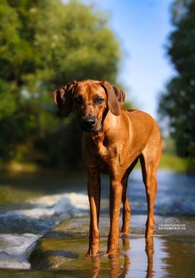 Austausch zur Fotografie-Beitrag-Bild