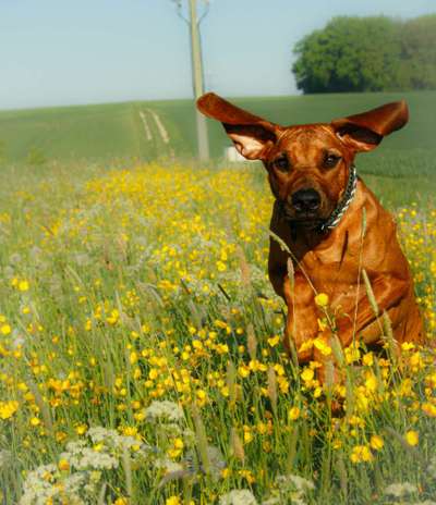 Austausch zur Fotografie-Beitrag-Bild