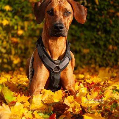 Austausch zur Fotografie-Beitrag-Bild