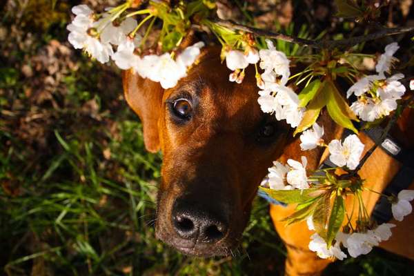 Austausch zur Fotografie-Beitrag-Bild