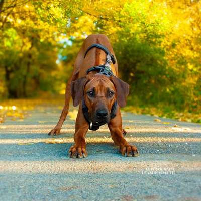 Austausch zur Fotografie-Beitrag-Bild