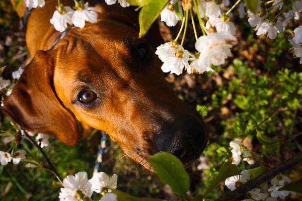 Austausch zur Fotografie-Beitrag-Bild