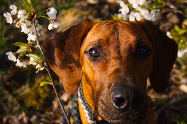 Austausch zur Fotografie-Beitrag-Bild