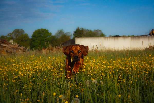 Austausch zur Fotografie-Beitrag-Bild