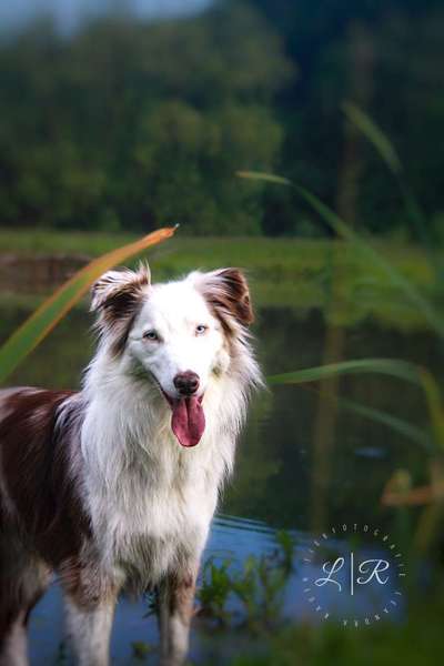 Austausch zur Fotografie-Beitrag-Bild