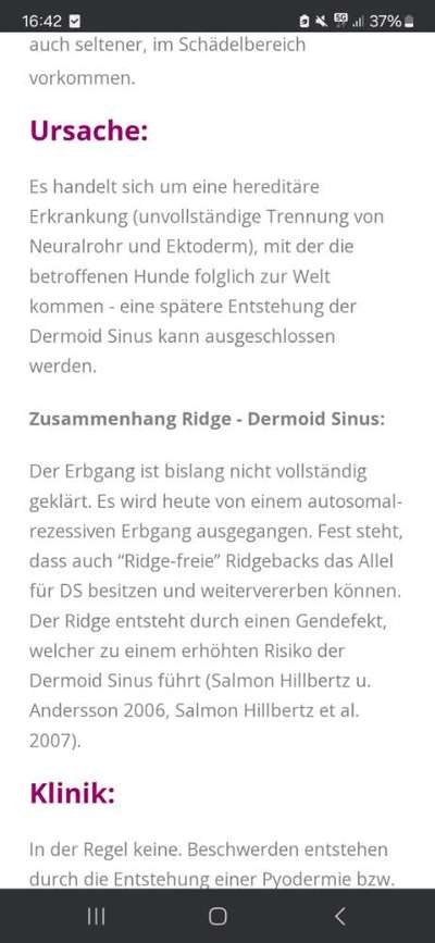 Qualzucht - Warum Aufklärung alleine nicht reicht-Beitrag-Bild