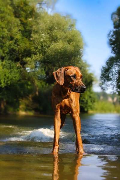 Austausch zur Fotografie-Beitrag-Bild