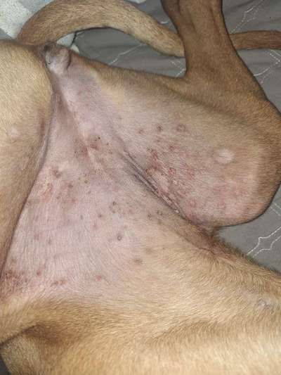 Wir möchten wissen,was mit Poohs Haut los ist?-Beitrag-Bild