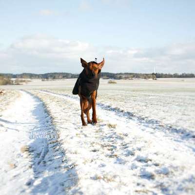 Austausch zur Fotografie-Beitrag-Bild