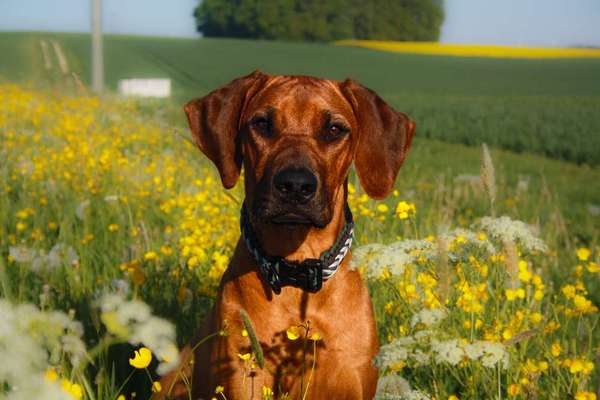 Austausch zur Fotografie-Beitrag-Bild