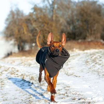 Austausch zur Fotografie-Beitrag-Bild