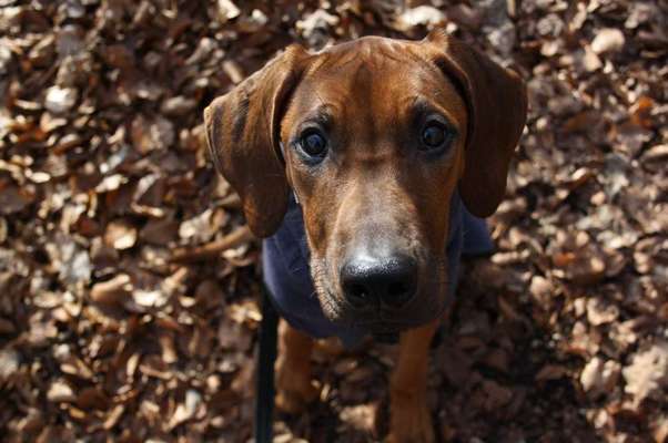 Austausch zur Fotografie-Beitrag-Bild