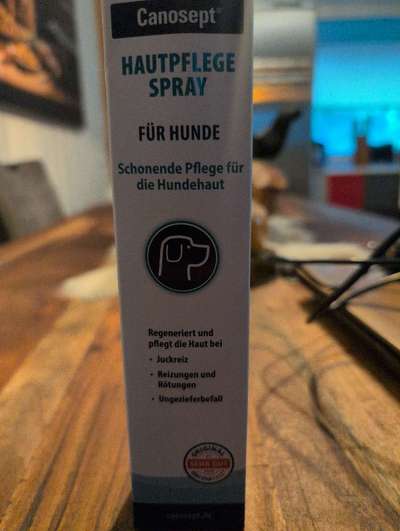 Massives putzen und kratzen-Beitrag-Bild