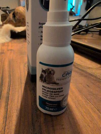 Massives putzen und kratzen-Beitrag-Bild