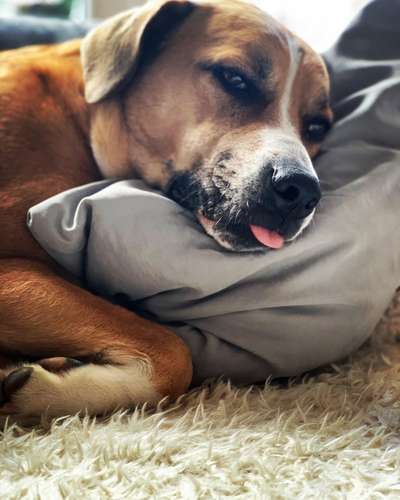 Tongue Out Tuesday-Beitrag-Bild