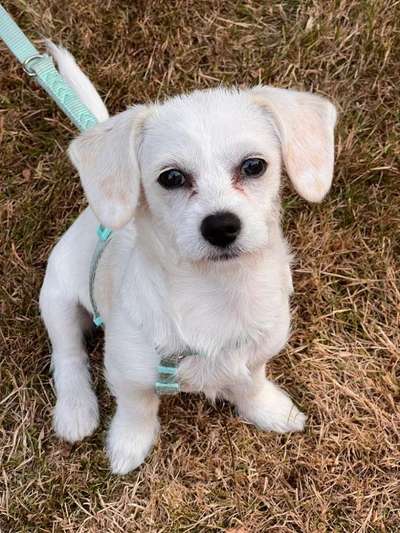 Handy-Foto Challange Nr. 10-Beitrag-Bild