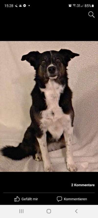 Fotochallenge Nr. 56 - geliebte Senioren-Beitrag-Bild