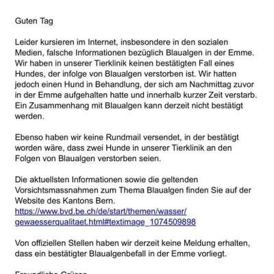 Giftköder-Mögliche Blaualgen in der Emme-Bild