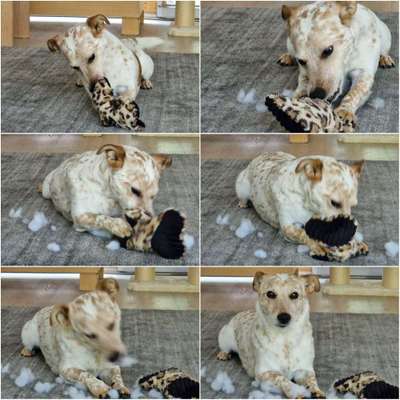 Zeigt eure schönsten Sommerbilder-Beitrag-Bild