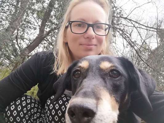 Die Dogorama Wochen Challenge: “Dein Hund im Urlaub”-Beitrag-Bild