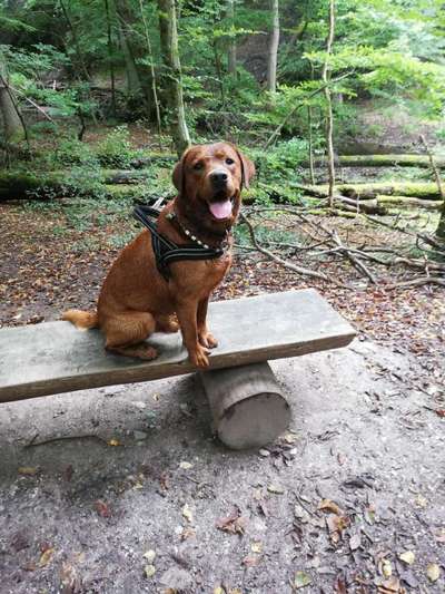 Geschwister Gesucht-Beitrag-Bild