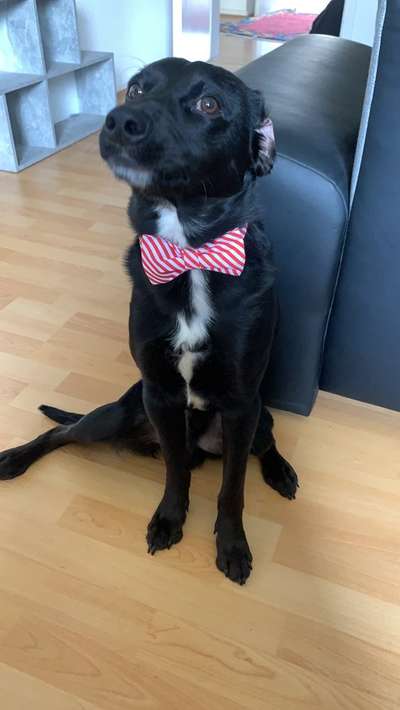 Fotochallenge Nr. 29 - Accessoires-Beitrag-Bild