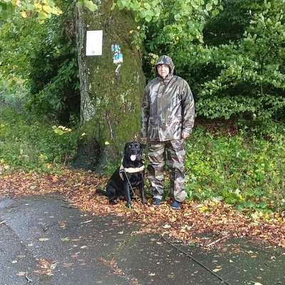 Hauptprobleme und entzündete Ohren-Beitrag-Bild