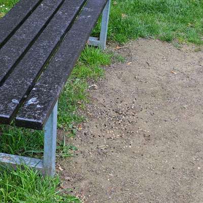 Giftköder-Giftköder im Park am Skatepark-Bild