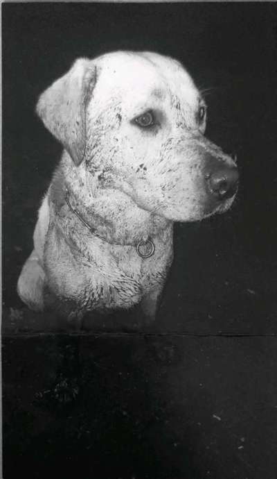 Foto-Challenge 76: Foto in Schwarz-Weiss-Beitrag-Bild