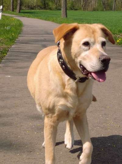 Dogorama Photo Challenge - Steine/Felsen-Beitrag-Bild