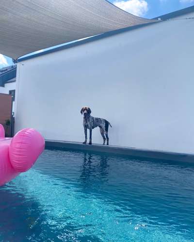 Fotochallenge 37- Sommerfeeling-Beitrag-Bild