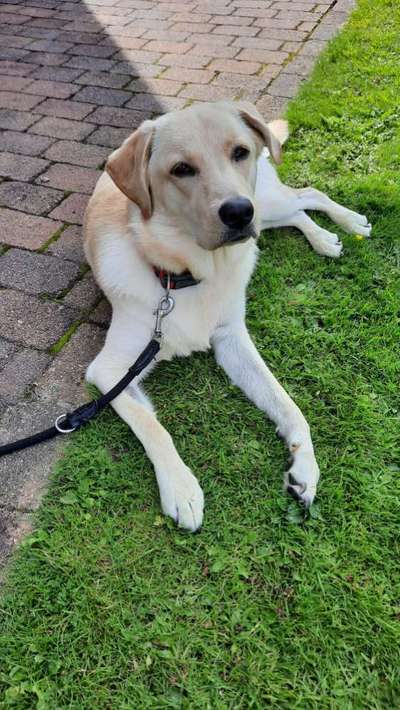 Lieblingsbild-Beitrag-Bild