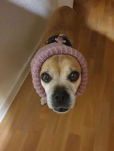 Fotochallange Nr. 57     PORTRÄT.   Beendet!!!!!!!!-Beitrag-Bild